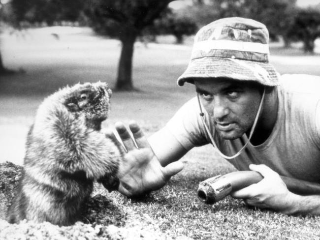 Bill Murray allegedly improvised all of his lines in Caddyshack.