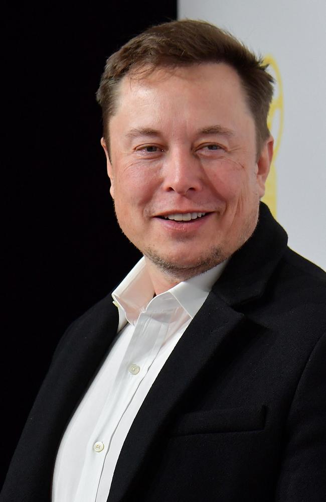 Elon Musk, CEO of Tesla. (Photo by Tobias SCHWARZ / AFP)