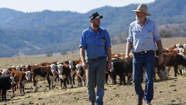 Archie and Richard Bell walk around their dry property. Picture: Liam Driver
