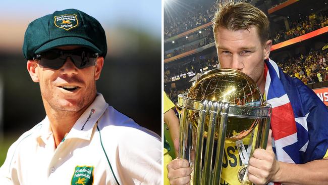 David Warner for Randwick-Petersham in 2013, and in 2015 with the World Cup.