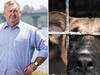 ‘Poor planning’: Ratepayers barking mad over 67% service cost increase