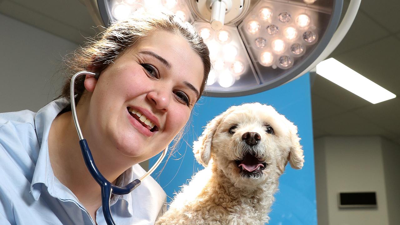 24hour animal hospital with emergency dept at Ringwood