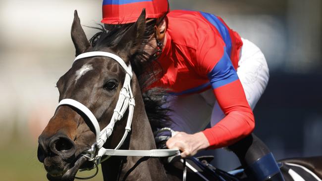 James McDonald believes Verry Elleegant is ready to hit her “absolute peak” in the Melbourne Cup. Picture: Getty Images