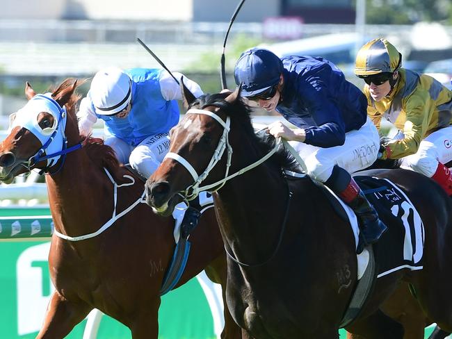 Political Debate (navy blue) holds off Sharp 'N' Smart (outside, red and blue) to win The Phoenix at Eagle Farm. Picture: Grant Peters - Trackside Photography.