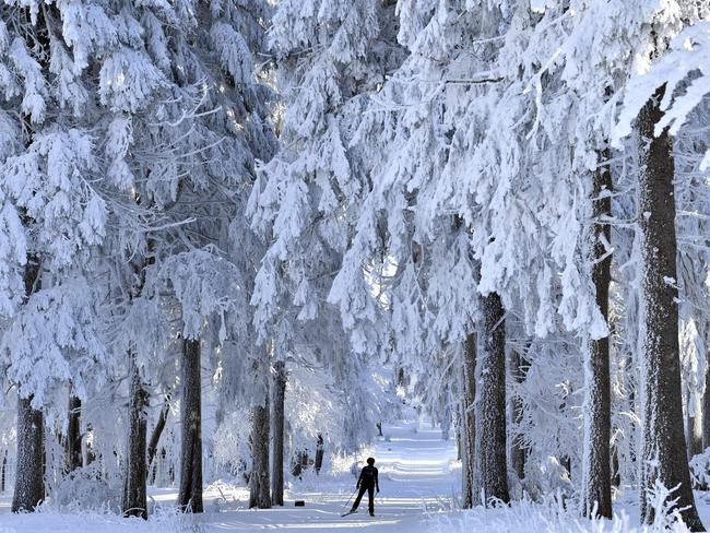 A skier makes her way through the snowy landscape at the Rennsteig hiking path on the Grosser Inselberg mountain near Tabarz, central Germany, on January 18, 2017. Picture: AFP