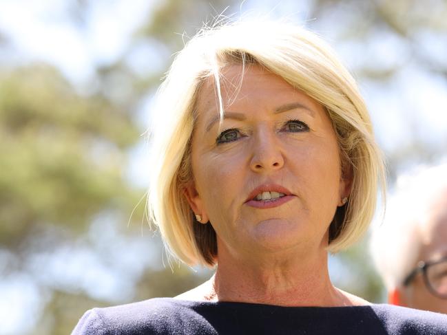 SYDNEY, AUSTRALIA - NewsWire Photos SEPTEMBER 19, 2024: Minister for Police and Counter-terrorism Yasmin Catley pictured speaking at a press conference at  NSW Parliament House to discuss the NSW GovernmentÃs response to the Special Commission of Inquiry into LGBTIQ hate crimes.Picture: NewsWire / Damian Shaw