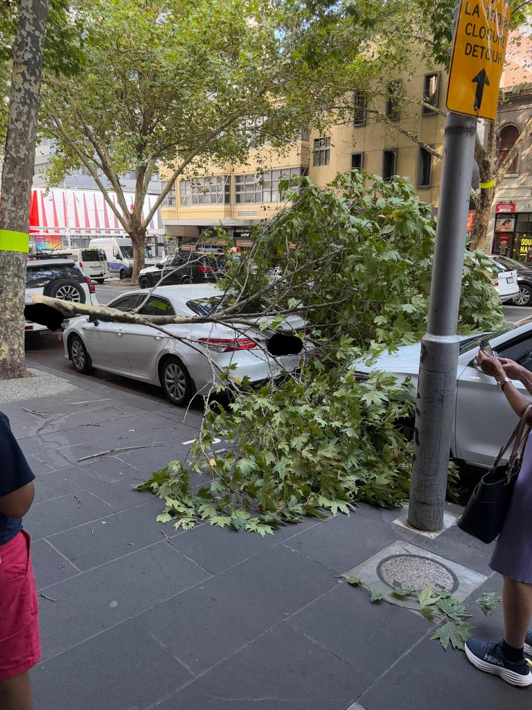 Trees fell across the city and smashed into cars parked below. Picture: Reddit