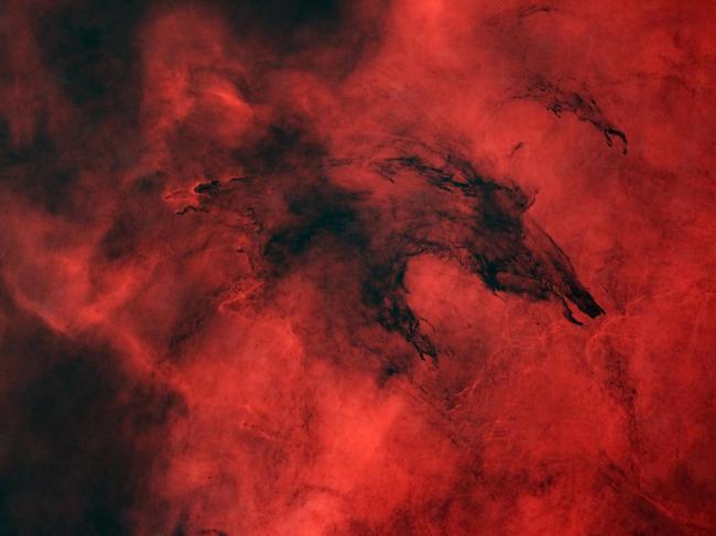 The Dark Wolf - Fenrir by James Baguley. This image was highly commended in the Stars and Nebulae category. This photo shows a dark, thick molecular cloud in the form of a wolf, known as the Wolf Nebula. The photographer chose a starless image to emphasise the red background of hydrogen gas. Location: Australia.