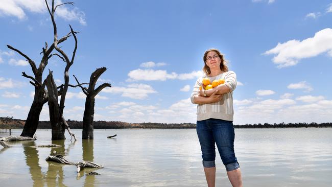 Riverland irrigator Caren Martin near Waikerie. Picture: Tricia Watkinson