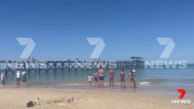 Swimmers have been ordered out of the water at Grange Beach after a shark was spotted close to shore near the jetty. Picture: 7NEWS