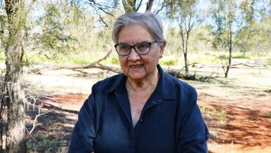 Lowitja Institute chair and Alyawarre woman Pat Anderson AO won the NTâ&#128;&#153;s 2023 Excellence in Women’s Leadership award.