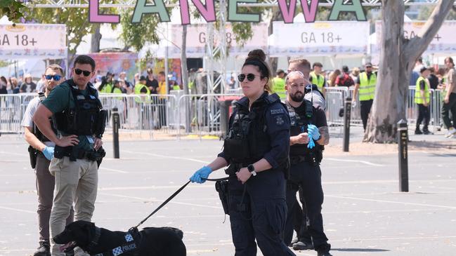 Police, including sniffer dogs, checked party-goers as they arrived. Picture: NCA NewsWire / Luis Enrique Ascui