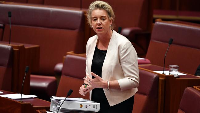 Bridget McKenzie. Picture: AAP Image/Mick Tsikas