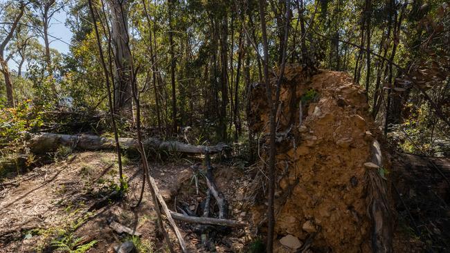 Police and forensics found the remains of Wonnangatta campers in the Grants Historical Area. Picture: Jason Edwards