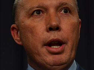 Dutton attacked over outrageous claim
