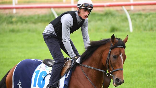 Raymond Tusk — the horse, not the jockey — is Francesca Cumani’s best roughie in this year’s Melbourne Cup. Picture: AAP