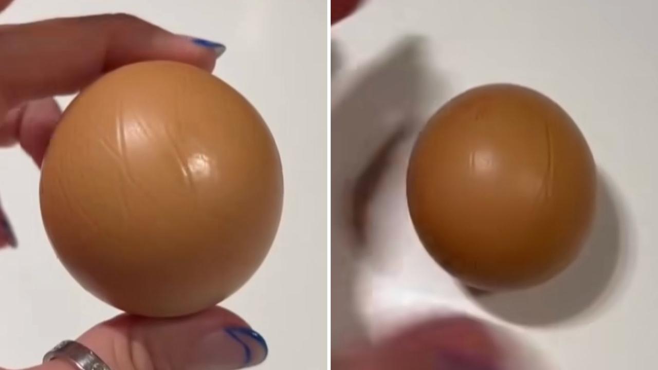 Giant egg fetches giant price at auction