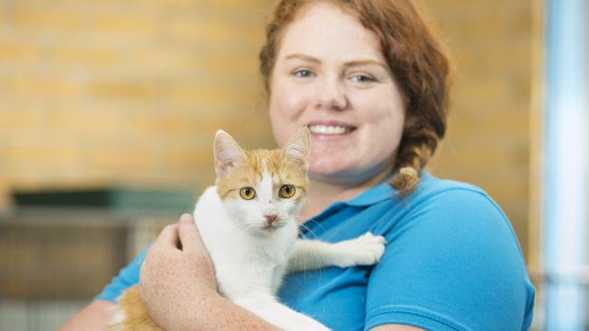 Canterbury Bankstown Express - Pictured: Ellie Siemsen (24) with a ginger and white cat called Leo - Christmas 2015 saw a big increase in cat and kitten numbers residing at RSPCA Yagoona NSW. To combat spiraling numbers, certain cats are being adopted out for free. RSPCA, 201 Rookwood Road, Yagoona NSW Australia