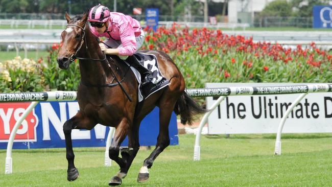 Photographer: Simon Bullard. Race 1 SIRE CUSTODIANS PLATE (2YO) - 1100m. Winner 'Voilier' ridden by Tye Angland.