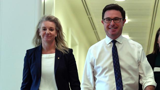 Nationals Senate Leader Bridget McKenzie, with Nationals leader David Littleproud. Picture: AAP Image/Mick Tsikas