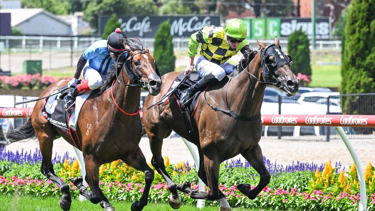 Great honour to win': Jye McNeil denies Craig Williams in Travis Harrison  Cup