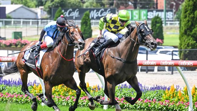 Independent Road (right) holds out Flash Feeling to win the Travis Harrison Cup. Picture: Reg Ryan/Racing Photos via Getty Images