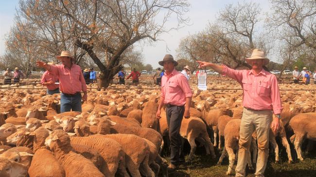 Action at the Hay September sheep sale. Picture: James Wagstaff