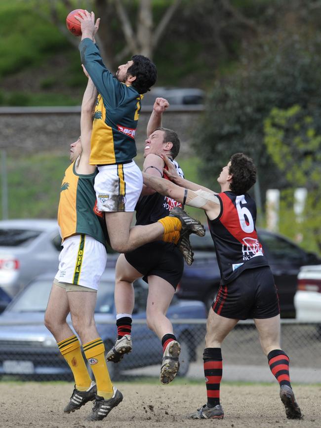 Saad Saad flies high for Northcote Park.