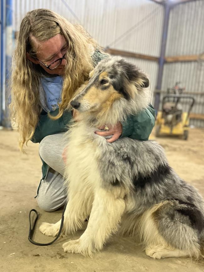 Donna Morris, with Luna, one of her many Collies. Picture: Odessa Blain.