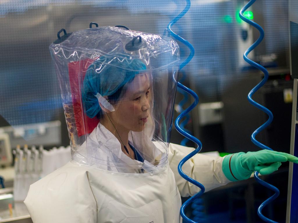 The facility is among a handful of labs around the world cleared to handle Class 4 pathogens (P4) – dangerous viruses that pose a high risk of person-to-person transmission. Picture: Picture: Johannes Eisele
