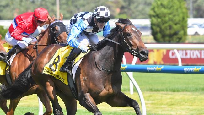 Another Prophet ridden by Ethan Brown wins the Schweppes Thousand Guineas at Caulfield Racecourse on November 16, 2024 in Caulfield, Australia. (Photo by Pat Scala/Racing Photos via Getty Images)