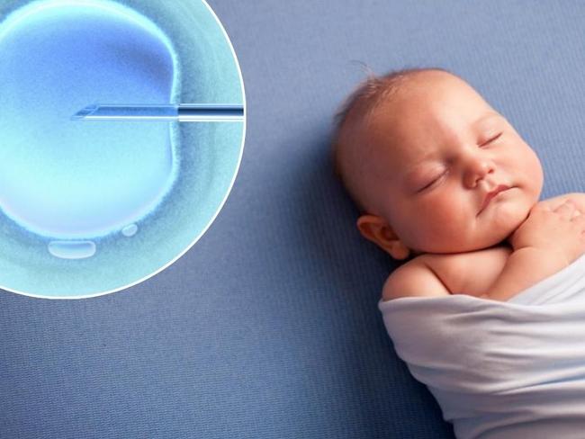 Network News web art: IVF explainer.