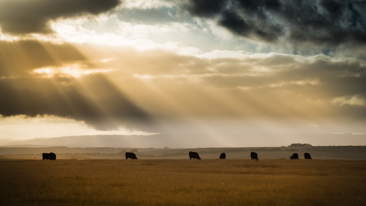 No new taxes to meet Australia's commitments under methane pledge