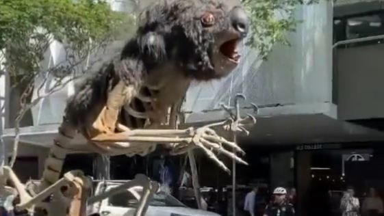 Extinction Rebellion's 4.5m tall, animatronic Koala “Blinky” on its way to parliament. Picture: 10 News