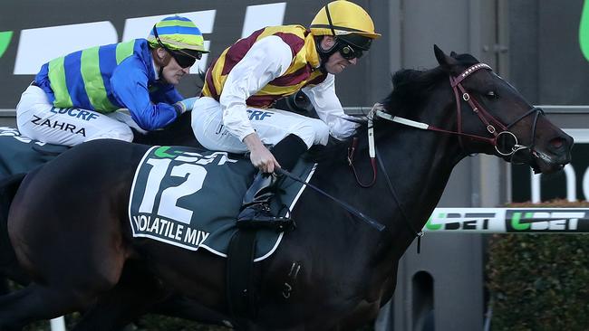 Volatile Mix scored an impressive win in the Sa Derby last month. Picture: Calum Robertson