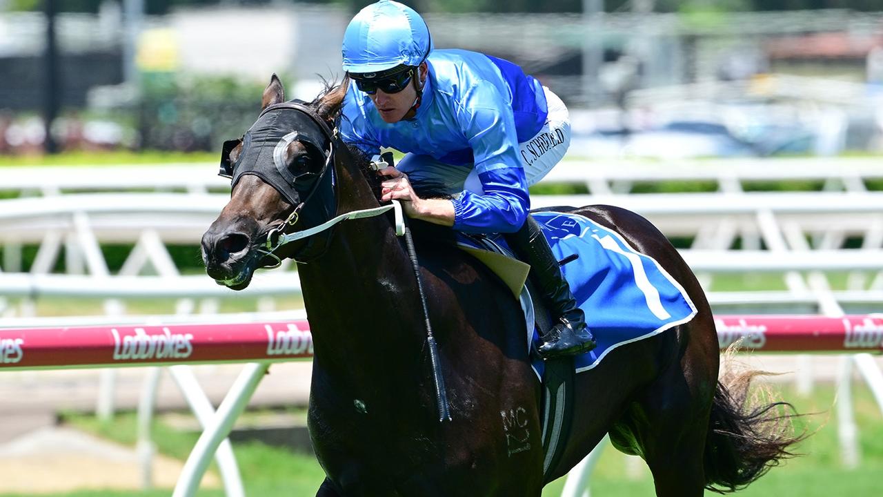 2025 Magic Millions 2YO Classic field, order of entry Gold Coast Bulletin