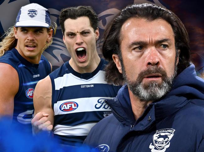 Where do the Cats sit heading into 2025?