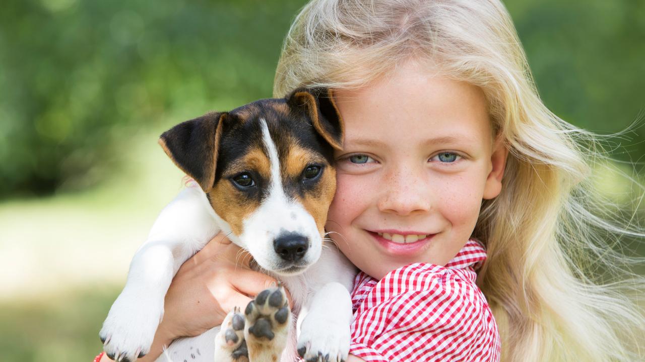 Research suggests being able to touch a dog, rather than just being around one, can help lower stress levels more.