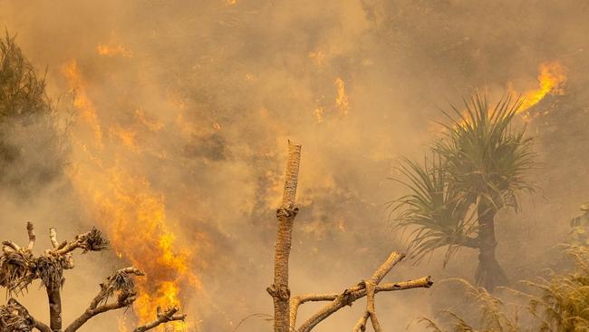 Fraser Island fire photos from ABC Sunshine Coast