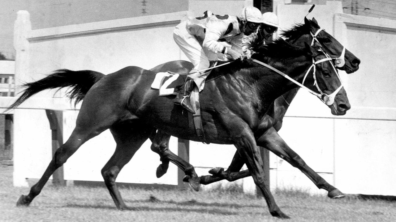 1973. Taj Rossi (No.2) and jockey Roy Higgins just gets up to beat Leica Lover in the 1973 Victoria Derby.