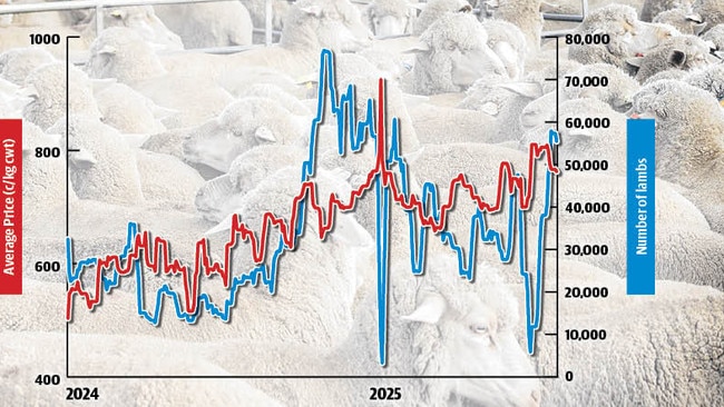 The number and price of restocker lambs in the weekly indicator.