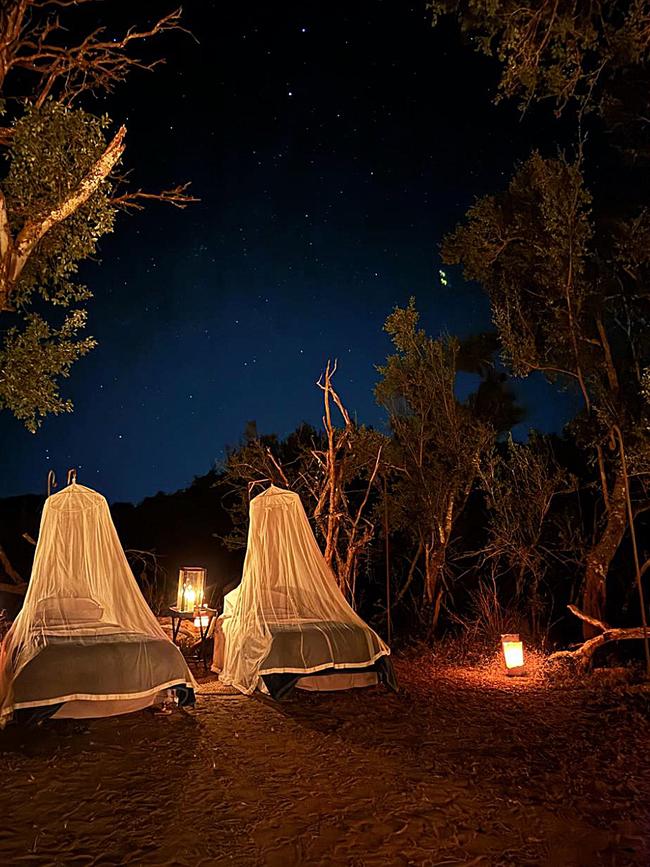 Bush-camp sleepover. Picture: Susan Kurosawa