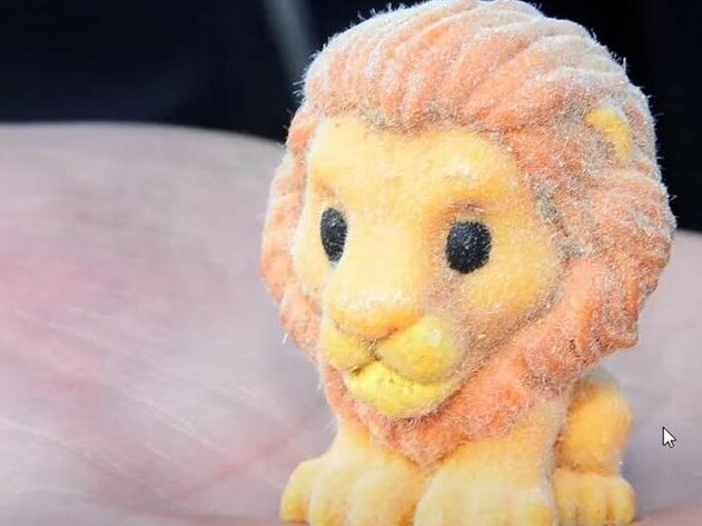 The rare furry Simba Ooshie.