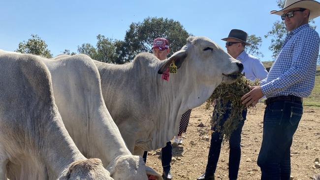 Agriculture Minister Murray Watt said Australia had implemented a biosecurity response to the threat of FMD that had never been seen in the country before.