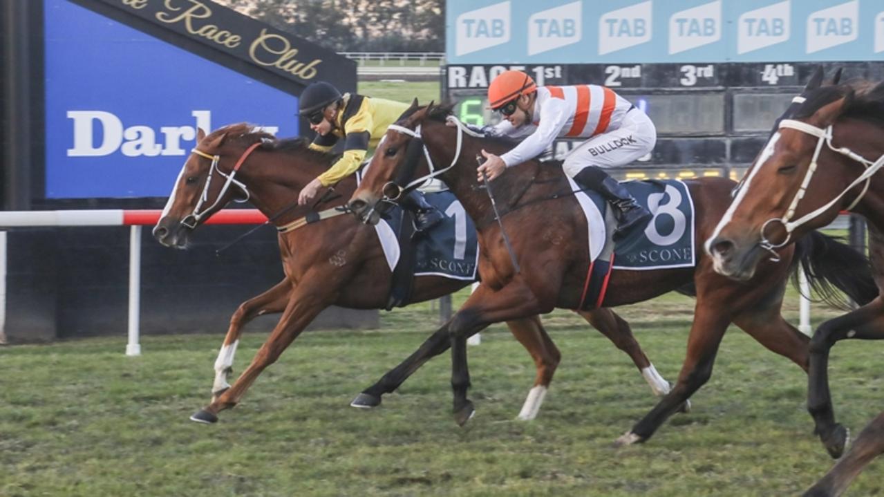 The Paul Perry-trained Senshi, pictured winning at Scone in June last year, is Shayne O'Cass's best value bet of the day at Newcastle on Tuesday. Picture: Bradley Photos