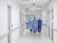 View from behind of four doctors in hospital corridor walking away from camera. Medical team in modern hospital corridor wearing surgical scrubs