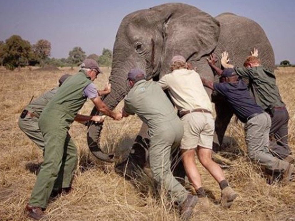 What are they doing? Who can say. Picture: Instagram