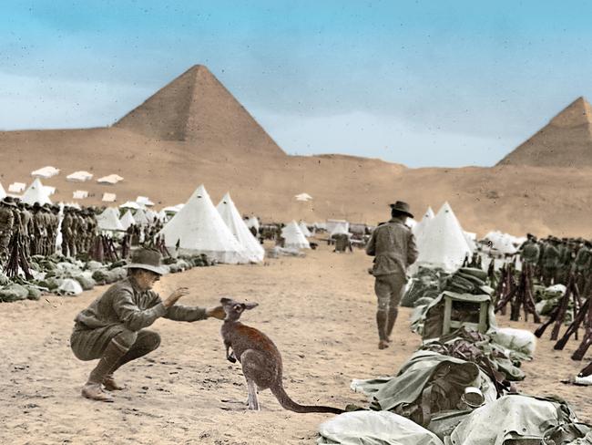 Kangaroos and pyramids ... we’ll tell you why this happened.