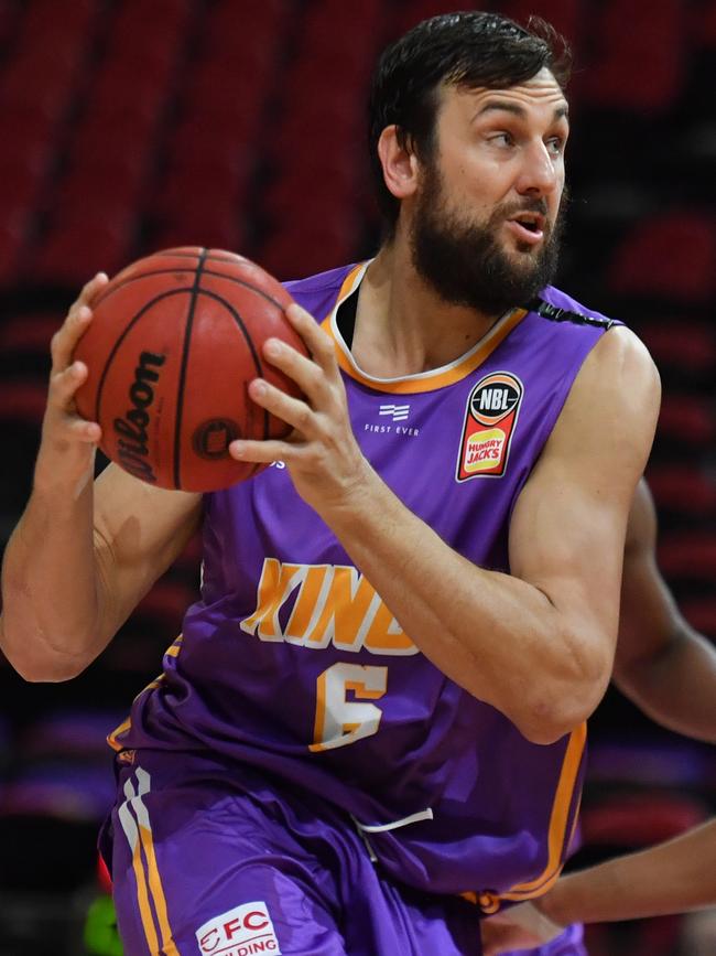 Andrew Bogut. Picture: AAP