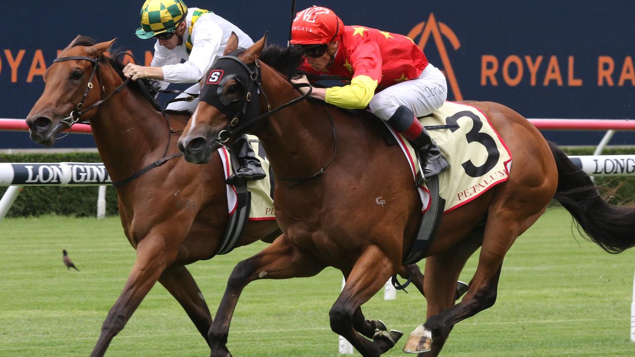 Don Corleone (outside) will be out to remain unbeaten in the Pierro Plate on Saturday. Picture: Grant Guy